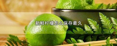 ​整个新鲜柠檬怎么保存最久 新鲜柠檬怎样保存时间最长