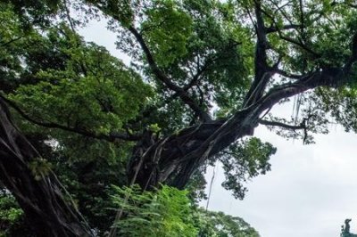 ​广州寺庙排行榜