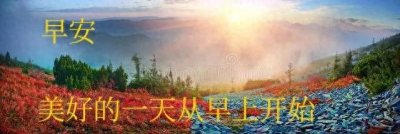 ​人的一生是为了名誉和权益吗