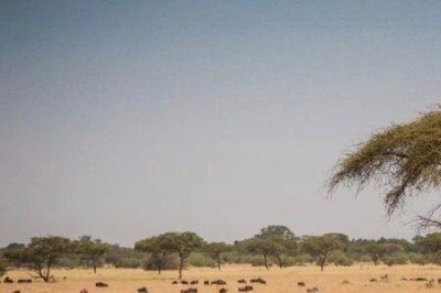 ​“物竞天择”是什么意思啊