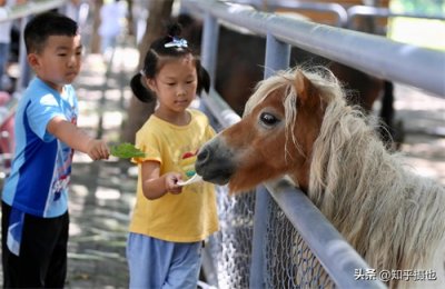​沈阳：长白岛公园成遛娃圣地，不用买票看动物，还可近距离喂食