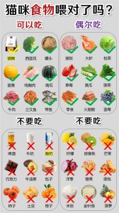 ​猫咪喜欢吃的十大食物？尤其看到这几个它会流口水的