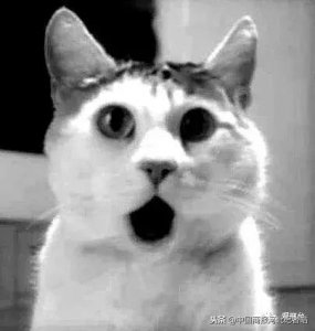 ​邢台丨诈骗电话打进派出所，又忽悠警察当“托”……