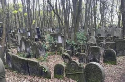 ​“人脚獾”，晚上背小孩，住坟圈，你小时候听过这个说法吗？