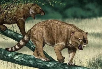 ​袋狮：史前澳洲杀手