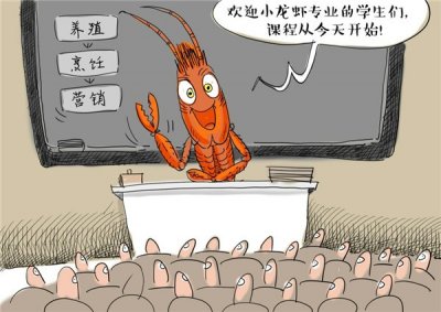 ​小龙虾消费火爆“龙虾学院”顺势成立招生