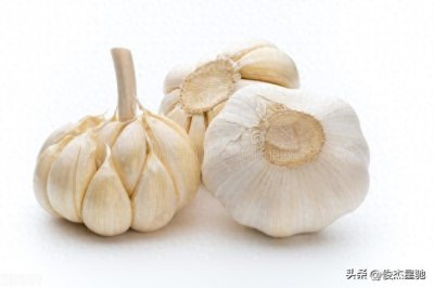 ​7月9日上午金乡大蒜价格行情