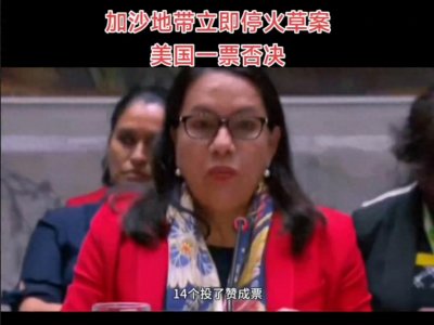 ​联合国安理会美国再次否决加沙立即停火决议草案