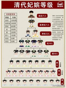 ​清代妃嫔等级划分图