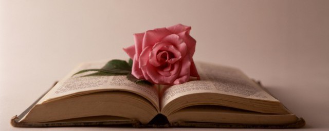 欣然怒放的意思是什么_释义读音