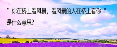 ​初中语文诗歌“你在桥上看风景，看风景的人在桥上看你”是何意？