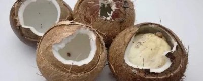 ​怎么打开椰子