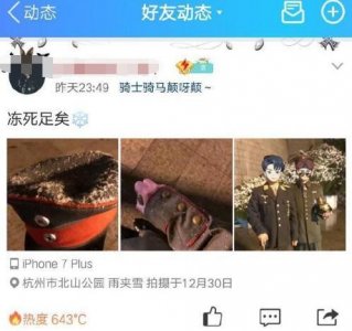 ​男子穿纳粹军服在杭州烈士陵园自拍被刑拘！自称想来玩雪